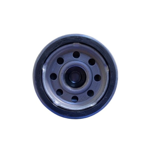 filtro ph7317 M20x1.5