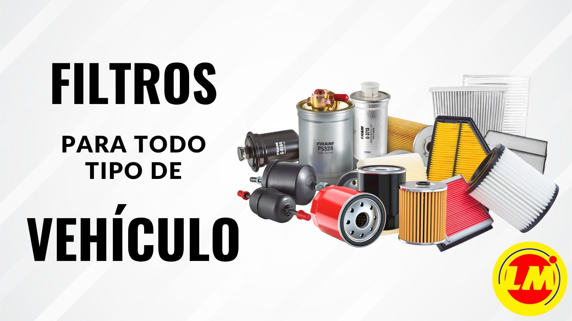 filtros automotrices lubricantes lm